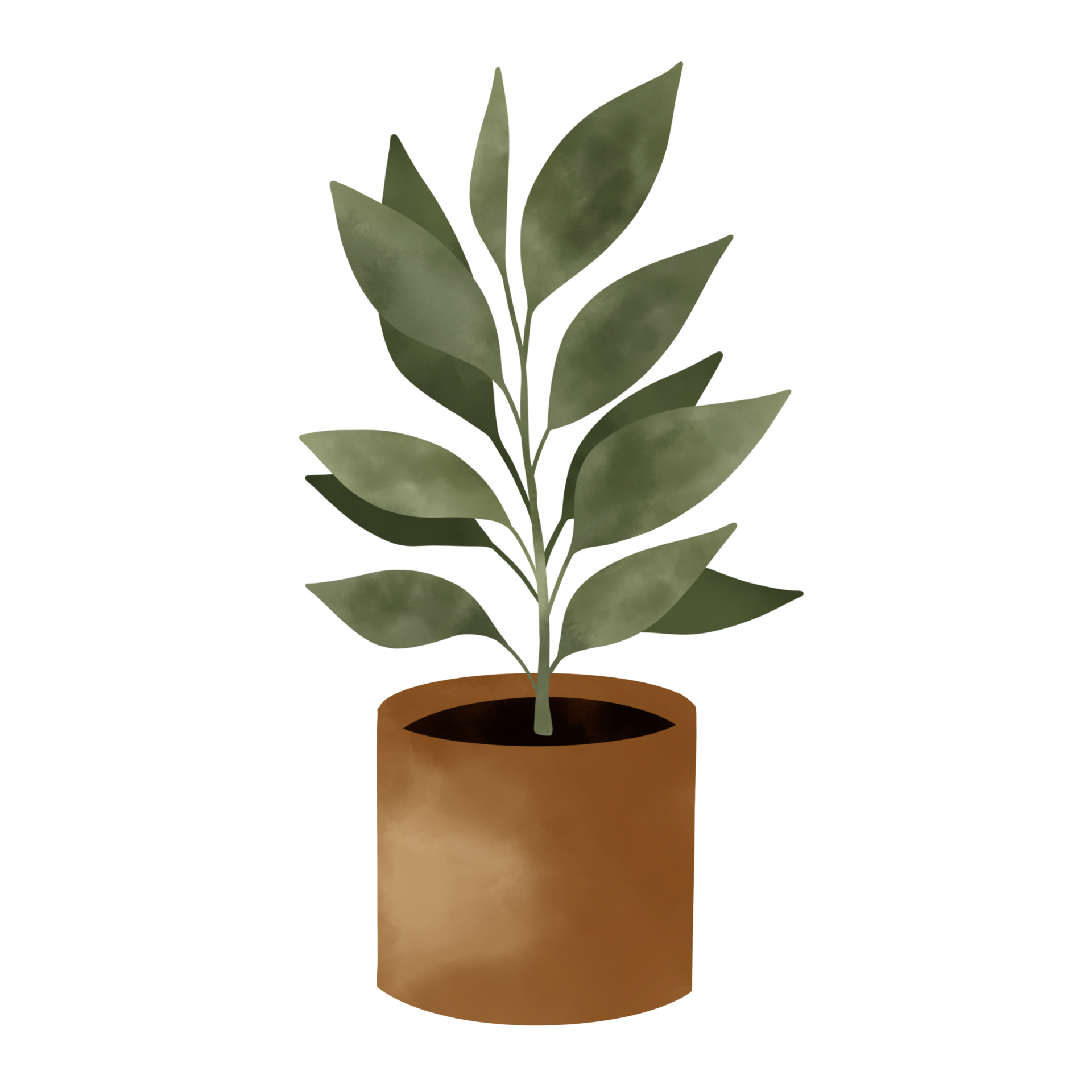 plant-image